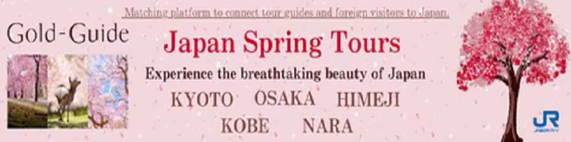 When and where to see cherry blossoms in Tokyo in 2024