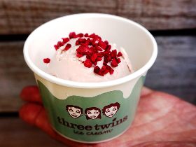 全米No.1オーガニックアイスクリーム『スリーツインズ アイスクリーム』が日本初上陸!【代官山】
