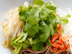 麺から保存調味料までパクチー三昧! やみつき必至のパクチー食べきりレシピ
