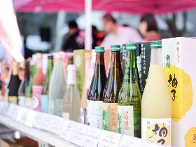 【酒好き必見!】日本酒飲み放題、ワインフェスなど、3月・4月に東京で開催される注目の酒イベントまとめ