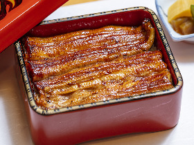 【東京】老舗のうなぎ専門店『八重洲 はし本』はココがすごい!素材とタレにこだわる「うな重」は必食の品