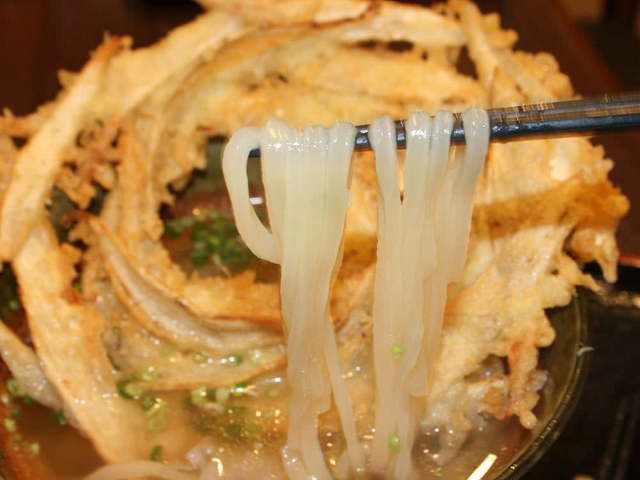 モッチモチ つるんっつるん 福岡のご当地 豊前うどん が東京で味わえる 大地のうどん 高田馬場 Dressing ドレッシング