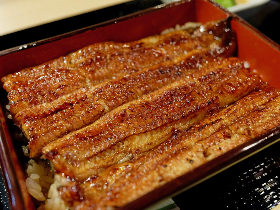 超希少な“幻のうなぎ”が味わえる!? 「共水うなぎ」に惚れ込んだ職人による『うなぎ 目白ぞろ芽』