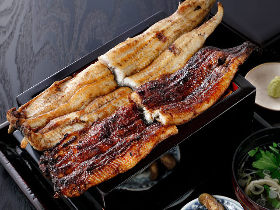 東京の「うなぎの名店」大集合! 老舗から有名店まで本気でおすすめの東京「うなぎ専門店」5選