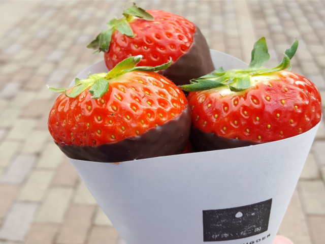 栃木から取れたて苺を直送！ 濃厚なチョコレートにディップしてうっとり