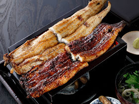 大迫力のボリュームうなぎを食べ比べ!東京で「関西風うなぎ」を楽しむなら『にょろ助 銀座』がおすすめ