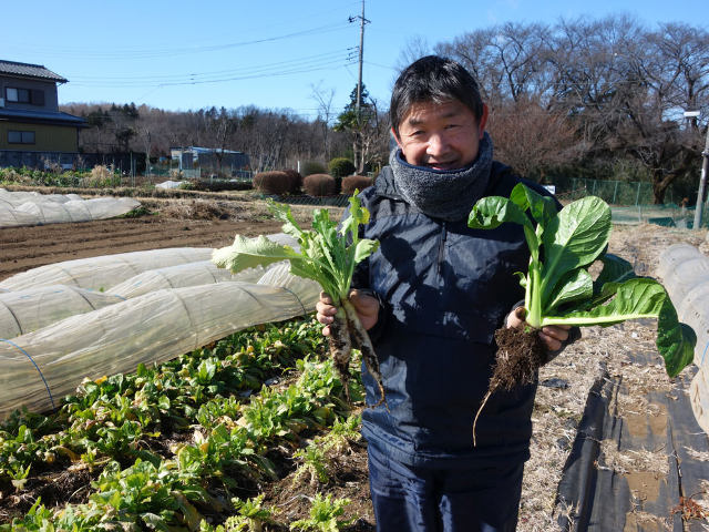 希少な江戸東京野菜を使用。「ふく花」で季節の創作そばを堪能の画像