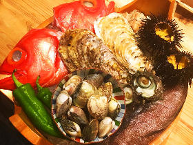 漁師直送! 「なくほどうまい旬の魚」を食べられる『なきざかな』【神楽坂】