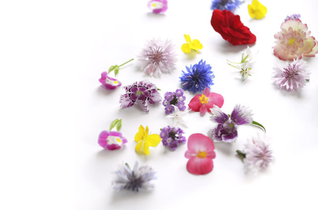 話題の食用花 エディブルフラワー はどう使うのが正解 今日から役立つ 盛り付けテクニック 3選 Dressing ドレッシング